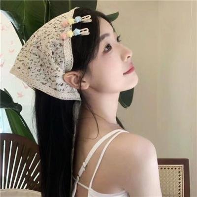 盗贼生涯